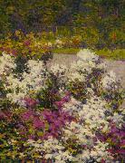 Hugh Henry Breckenridge White Phlox oil on canvas